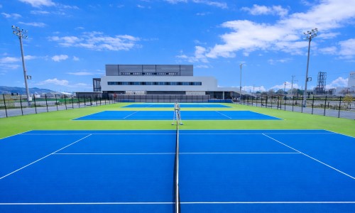野生血钻燕麦-血钻野燕麦功效网- 血钻燕麦12粒一瓶价格知识,分享血钻野燕麦功效与作用