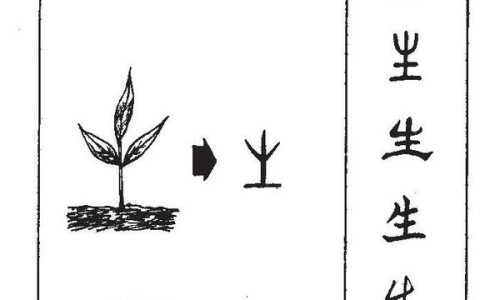 血钻燕麦片官方网站-血钻野燕麦功效网- 血钻燕麦12粒一瓶价格知识,分享血钻野燕麦功效与作用